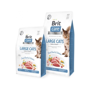 Brit-care- large-cat.jpg