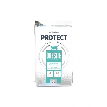 Pro-Nutrition kassi kuivtoit Protect Obesite ülekaalulisele kassile 2kg