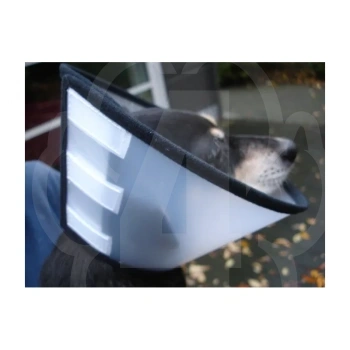 26476-koera-krae-plastik-25-5x13cm-2.png.webp 26476-koera-krae-plastik-25-5x13cm-2.png.webp