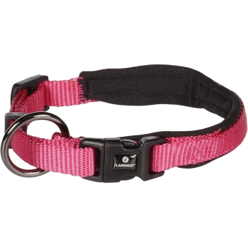Koera Kaelarihm Abbi Kirsipunane Xxxs 25–30cm 10mm
