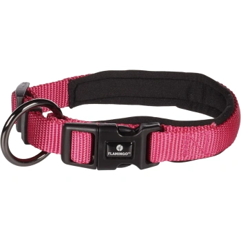 Koera Kaelarihm Abbi Kirsipunane Xxs 30–35cm 15mm