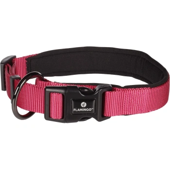 Koera Kaelarihm Abbi Kirsipunane M 45–50cm 25mm