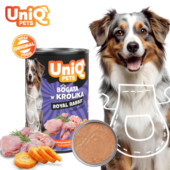 28684-udw0006.png