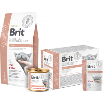 28887-8595602528325-brit-renal.png