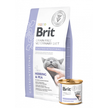 28888-8595602559787-brit-gastrointestinal.png