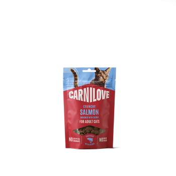 28889-8595602582525-carnilove-salmon-catnip.png