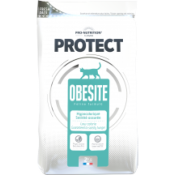 Pro-Nutrition kassi kuivtoit Protect Obesite ülekaalulisele kassile 2kg