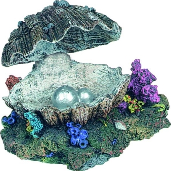 Akvaariumi dekoratsioon liikuv rannakarp- õhupumba otsaga