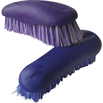 HIPPOTONIC “Anatomic” dandy brush - Color : purple, Size : medium model, Back : 17.5 x 6.5 cm