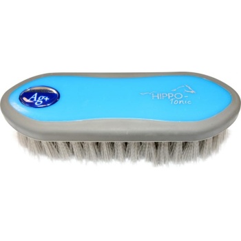 HIPPOTONIC “Antimicrobien” dandy brush - Color : blue/grey, Size : Back 175 x 55 mm