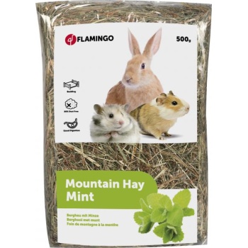 Hein piparmündiga 500g