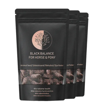 Black Balance söödalisand hobustele 1 pakk (30 küpsist)