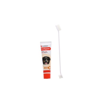 TOOTH PASTE DAFRA CHICKEN FLAVOUR + TOOTH BRUSH 85GR