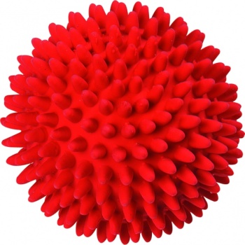 503886E01.jpg