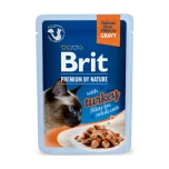 Brit Premium kassi einekotike "Delicate" Kalkun kastmes 85g