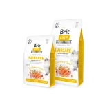 Brit Care "Haircare Healthy&Shiny Coat" teraviljavaba kassi kuivtoit 2kg