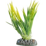 Flamingo Guyana Mitmevärviline Akvaariumitaim – Suurus XS