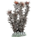 Flamingo Guyana Mitmevärviline Akvaariumitaim S