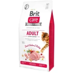 BC "Adult Activity Support" teraviljavaba kassi kuivtoit 7kg