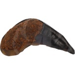 Naturaalne Maius Koerale NATURE SNACK Kopsuga täidetud Pühvli Kabi