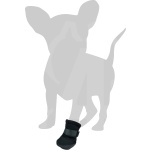 Käpakaitse Clawi L – 1Tk