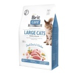 Brit Care "Large Cat Power&Vitality" teraviljavaba kassi kuivtoit 2kg