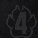 Koera vihmajope TOTO must 50cm