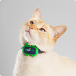 Petloc8 Mini GPS seade