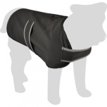 Koera jope Morris 40cm