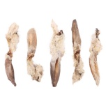 NATURE SNACK RABBIT EARS WITH HAIR 200GR