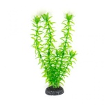 Akv.kunsttaim M010 20cm