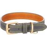 Koera Kaelarihm VIRGINIA hall S/M 31-39cm 20mm