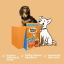 little-paws-bowl-lickin-goodness-chicken-dry-dog-food-969086.webp