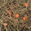 24839-200028-e-01.jpg