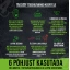 27815-harringtons-just6-koeratoit-lammas-details1.png.webp