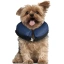 28219-513235-2.jpg.webp