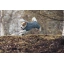 28276-rukka-kombinesoon-protect-overall-14-tumeroheline-11.webp.webp