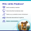 28876-4-miks-valida-plaqease.png
