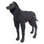 7207-rukka-kombinesoon-protect-overall-11-must-5.webp.webp