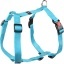 H-HARNESS ZIGGI TURQUOISE 60-85CM25MM