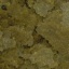 26881-26881_64e898c7a98a24.31820671_14200092-1_large.jpg